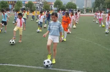 哪里能找到分卫的技术分析视频_1
